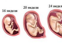 Советы беременным (2 триместр) Когда начинается 2 й триместр беременности